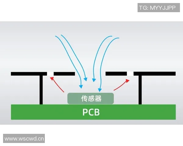 从零起步掌握滑板技巧与力量训练的全面指南